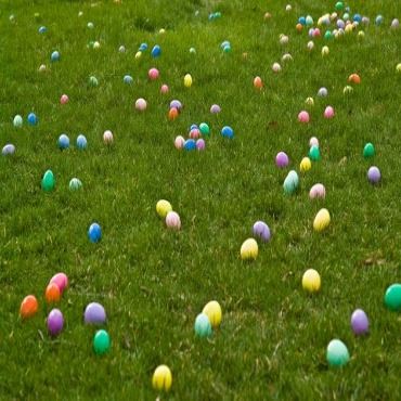 egg hunt 5