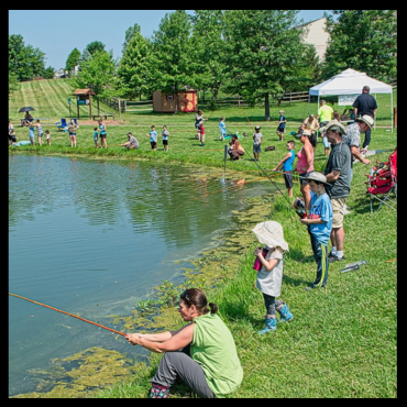 School of Fish spotlight