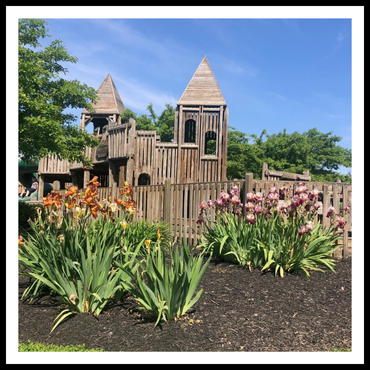 Fort Liberty spotlight