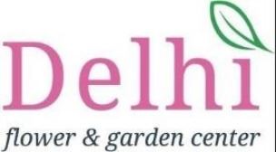 Delhi Flower and Garden Center
